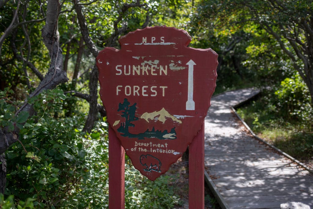 Sunken forest sign