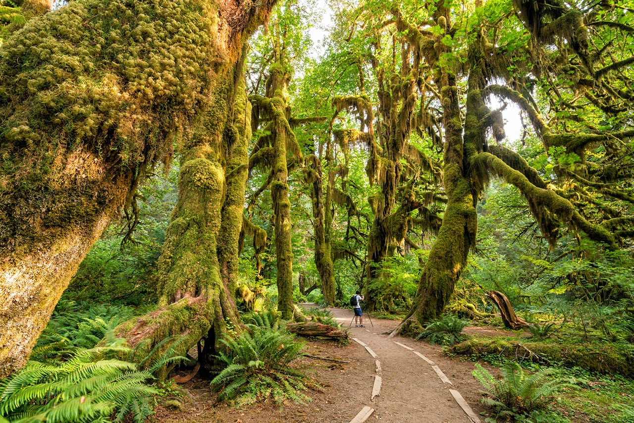 The best road trip stops and routes in the West