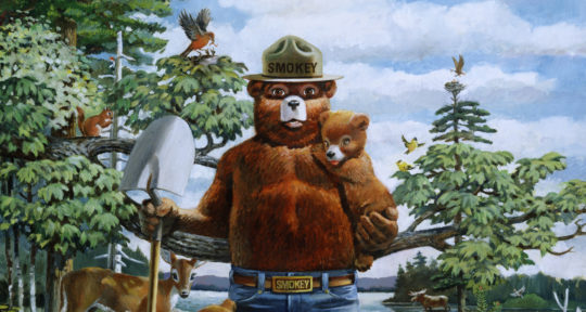 Only you can prevent wildfires—but after 75 years, Smokey Bear still reminds us not to play with fire