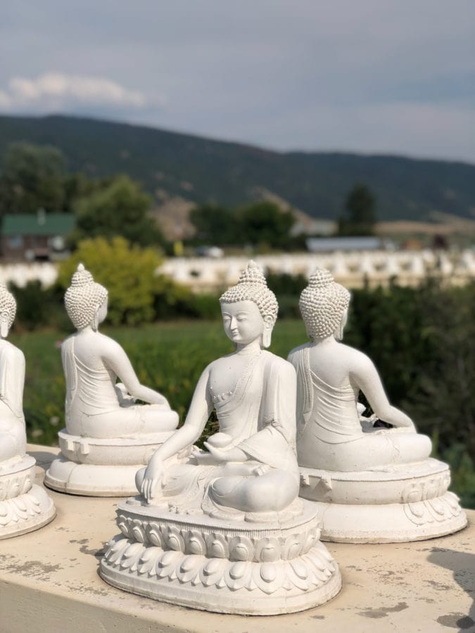 All-white Buddha figures.