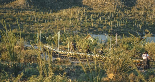 A community dinner in the middle of the Sonoran Desert helps foster connections to others and the land