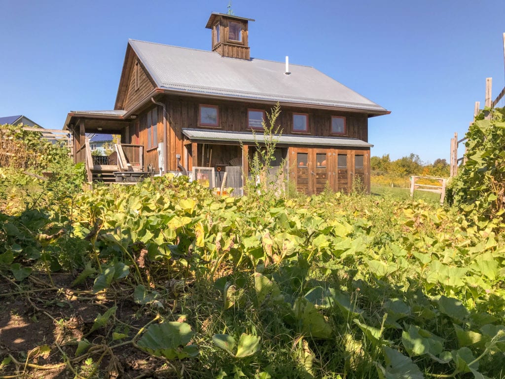 Gourdlandia is located in the Finger Lakes region of New York