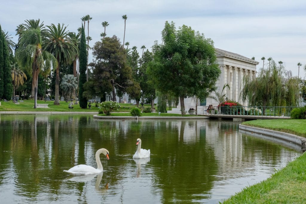 Swans near a mausoleum.