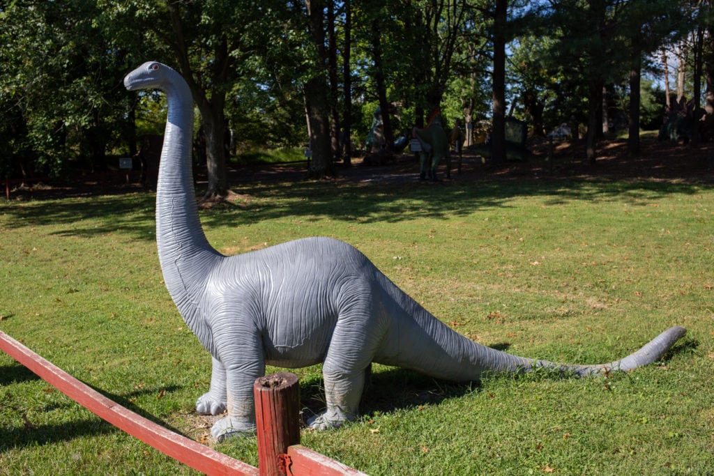 One of the newer dinosaurs.
