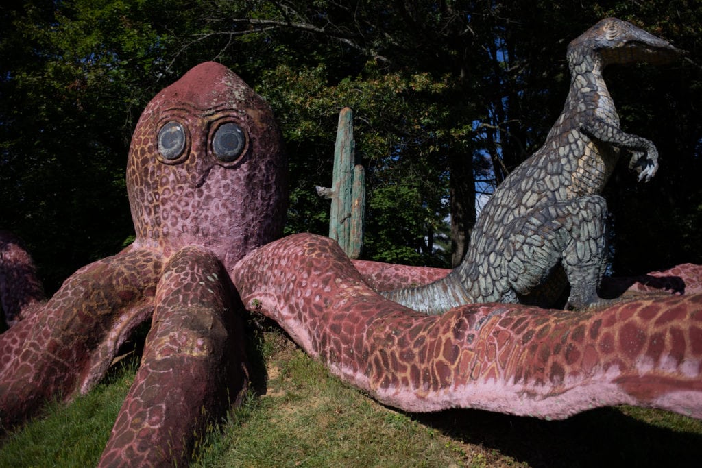A large octopus.