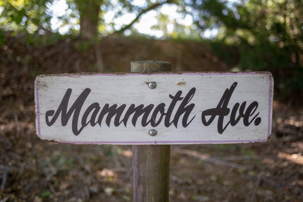 Mammoth Avenue.