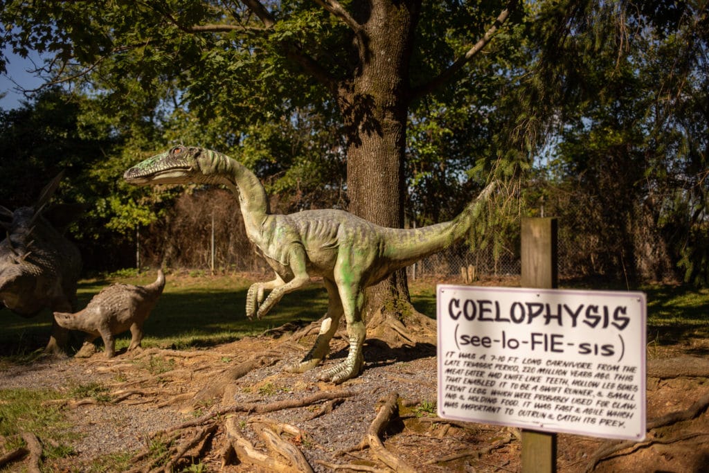 The newer dinosaurs are made by Mark Cline.