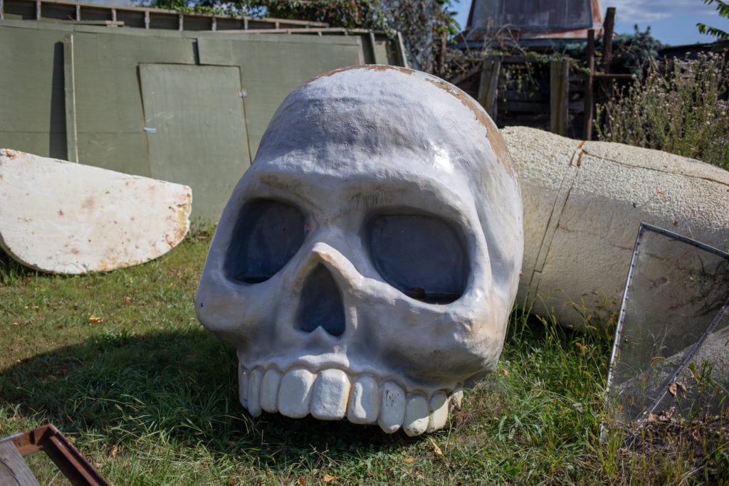 A large skull.