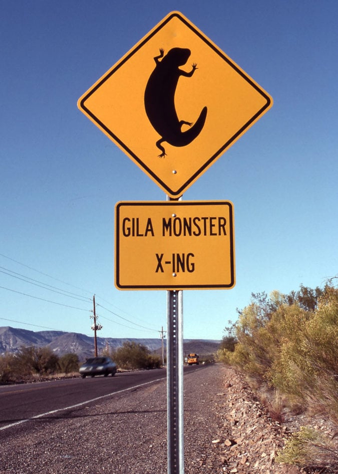 Gila Monster x-ing.