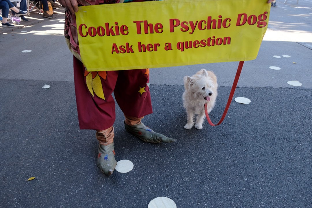 Another performer who has been involved in the parade since the beginning is named Bill Perron, known as “The Swami from El Monte.” As a “mental magician,” Perron interprets his dog Cookie’s thoughts. Perron invites attendees to ask his psychic dog questions. One person asks Cookie for the key to life. “Just be in the now, don’t be in the future,” Perron says. “Dogs are happy because they are in the now, humans are not.”