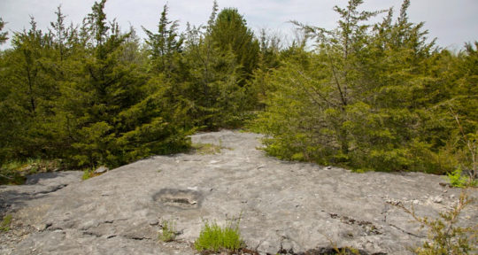 Looking for Vermont’s ancient sea life and hiking among million-year-old fossils at the Goodsell Ridge Preserve