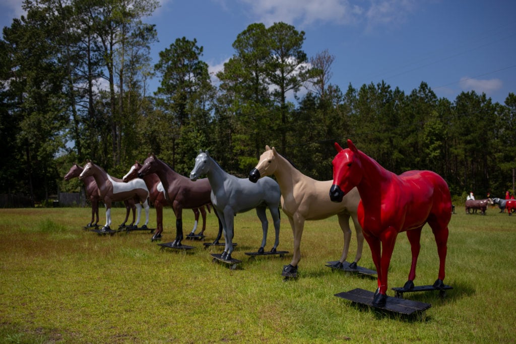 A fleet of horses