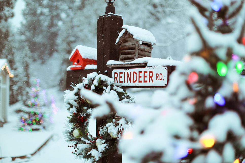 A snow-covered sign for Reindeer Rd
