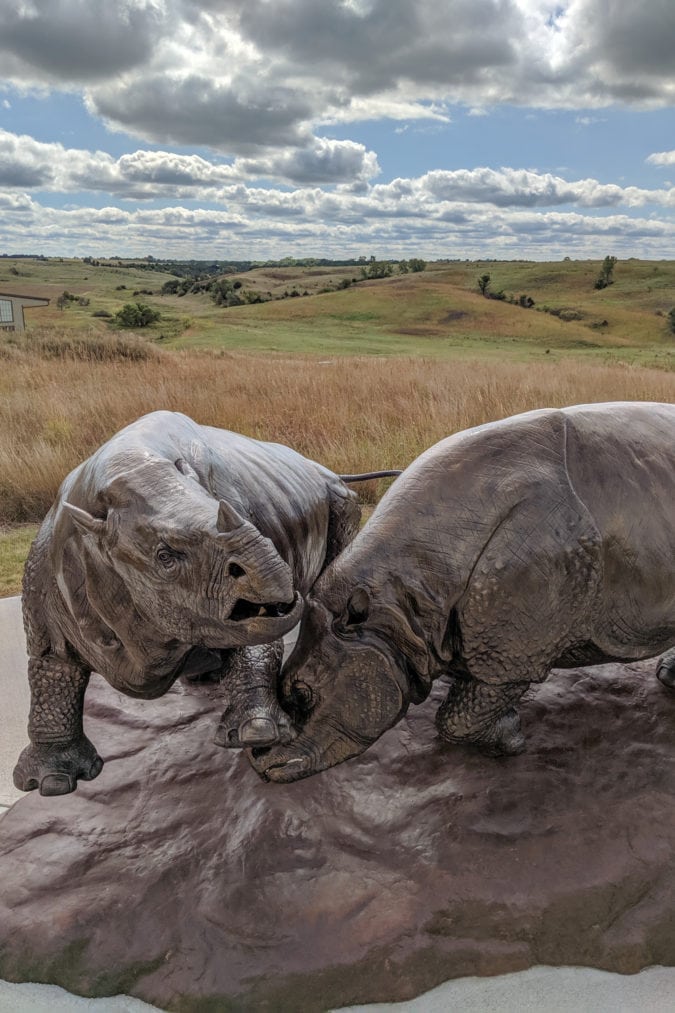 Two bronze statues of Teleoceras, an extinct rhinoceros, struggle behind the Visitor Center.