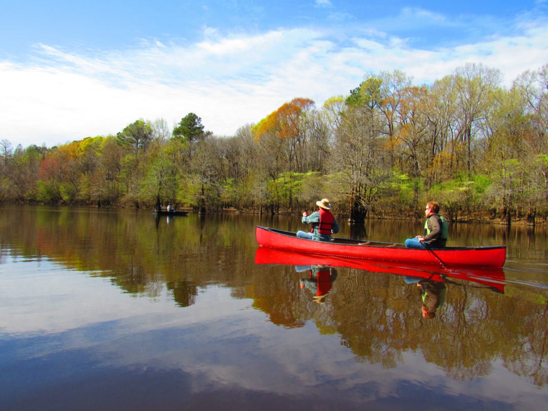 Exploring Congaree by canoe or kayak is a good way to see the park.