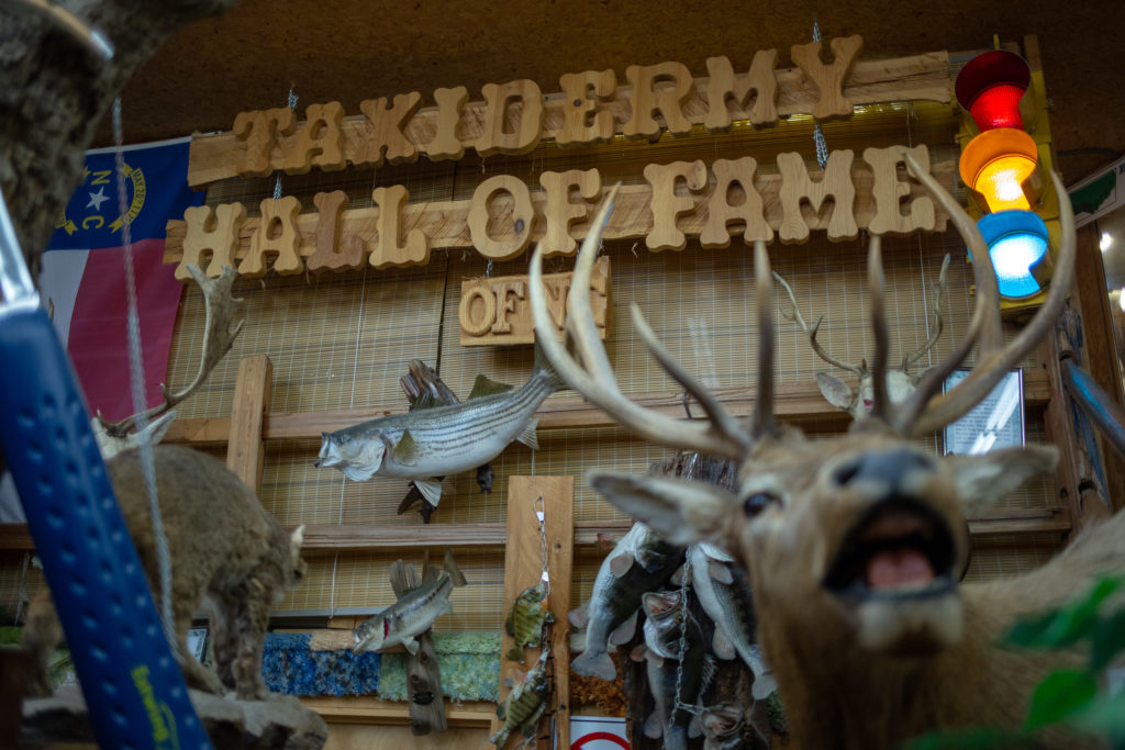 The Taxidermy Hall of Fame.