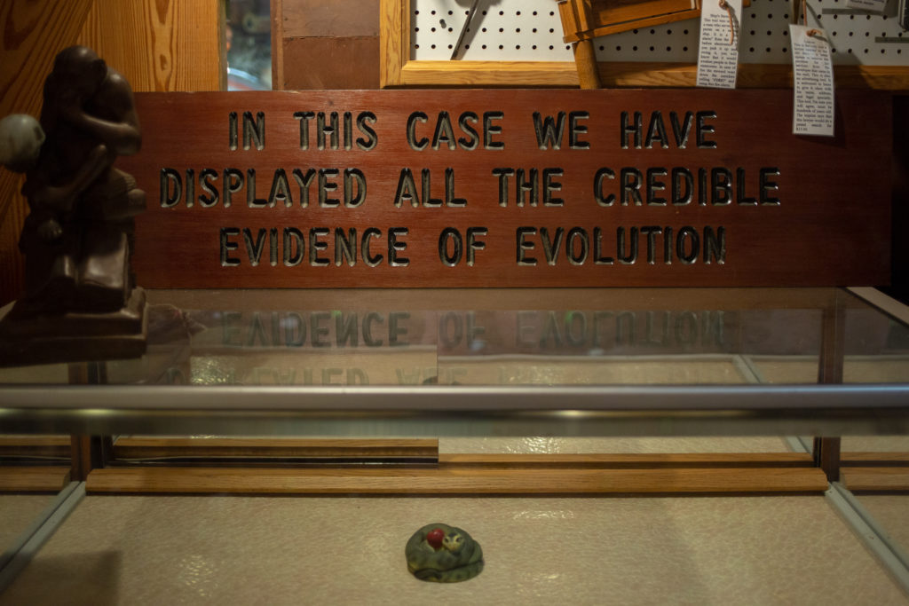 "All the credible evidence of evolution."