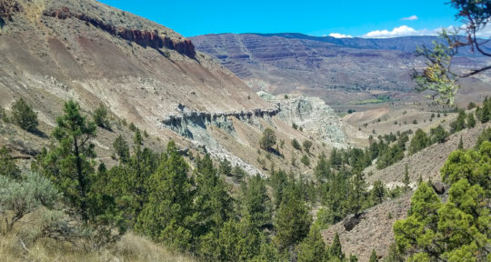 Wild country: Coffee, cults, and prehistoric creatures have all left their mark on Oregon’s John Day Fossil Beds