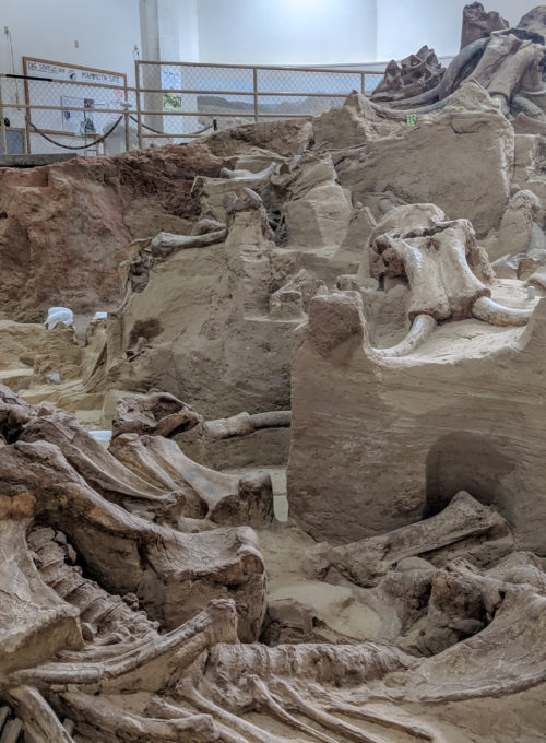 Inside the excavation of a South Dakota sinkhole that swallowed more than 60 mammoths
