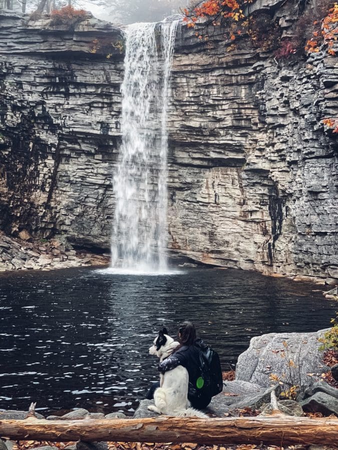 Girl sits on a log in front of a waterfall with her black and white husky