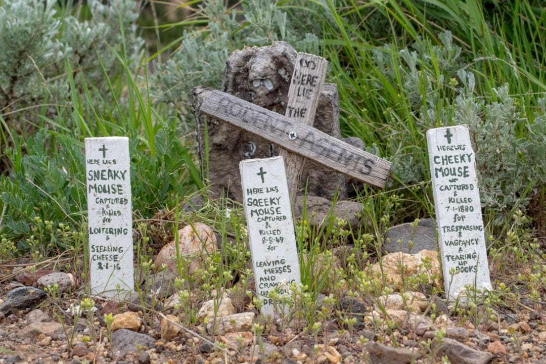 Rodent Agents' Graves