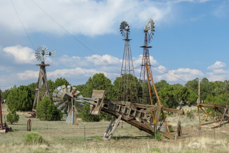 Meet the pun-loving 'pie-o-neer' who traded the big city for New Mexico ...