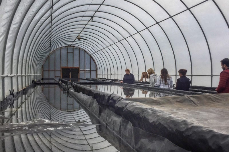 Above an ancient underground sea in West Virginia, a family reclaims