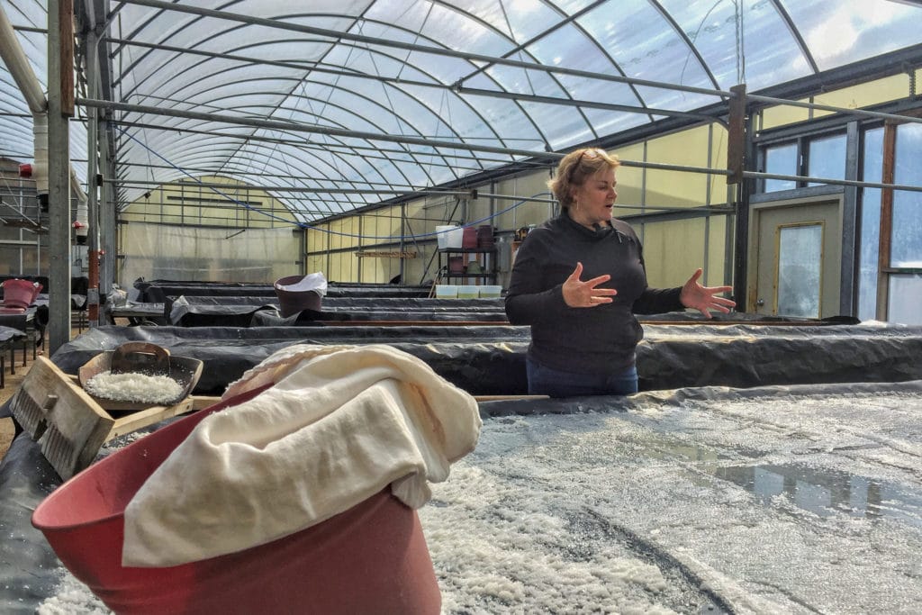 Nancy Bruns explains the salt harvesting process.