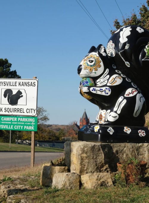 From circus attraction to protected mascot to art project: How black squirrels took over a small Kansas town