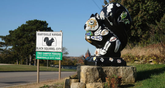 From circus attraction to protected mascot to art project: How black squirrels took over a small Kansas town
