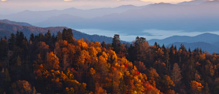 Explore Great Smoky Mountains National Park