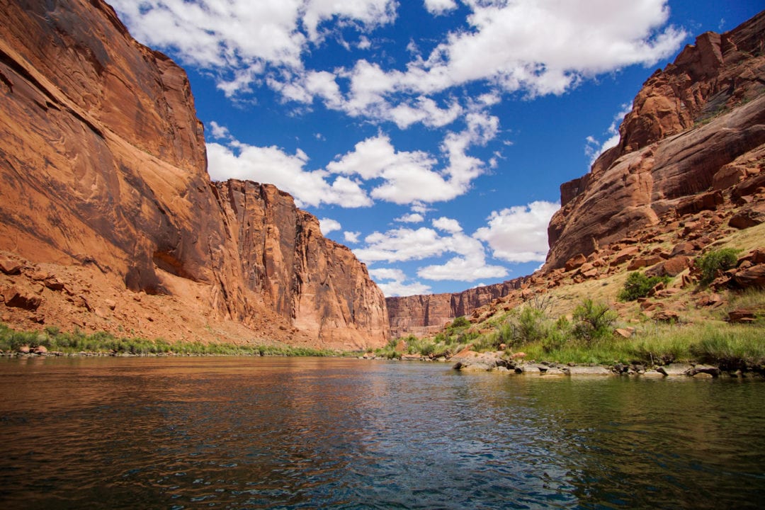 View from the paddleboard of the Colorado River.