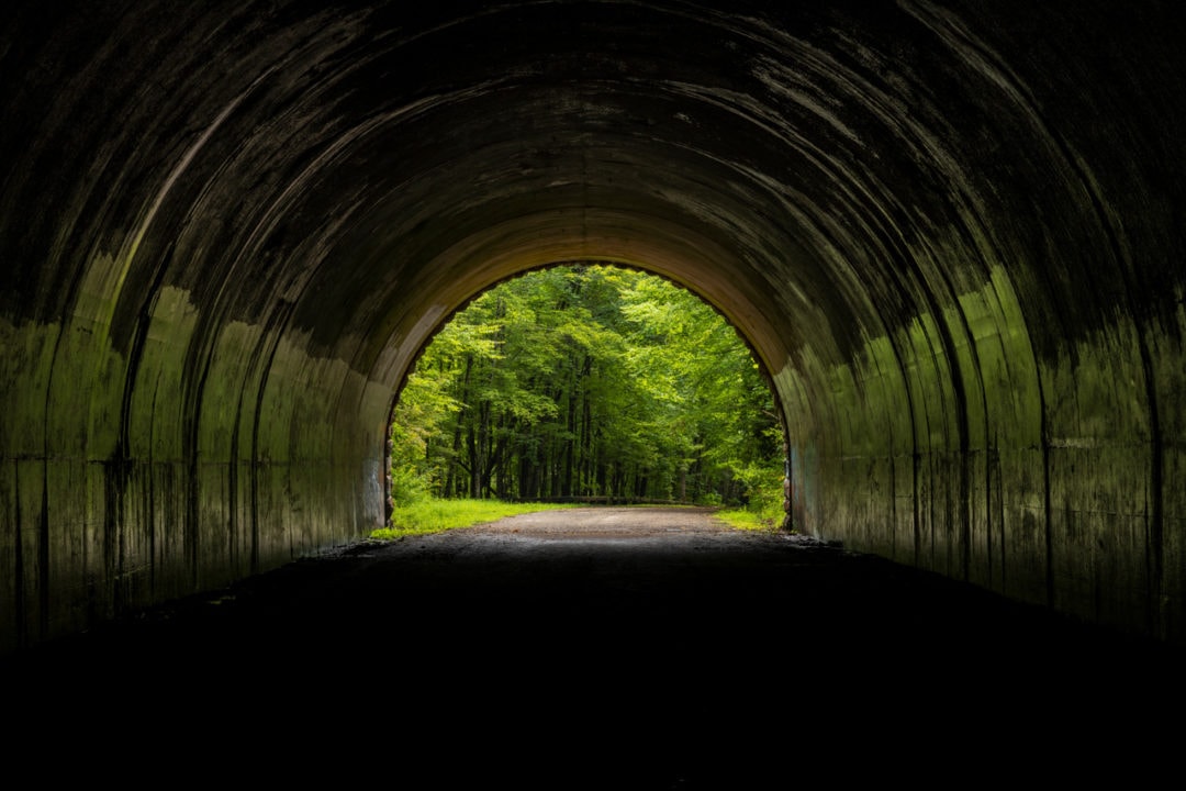 Looking through the tunnel at the end of the Road to Nowhere