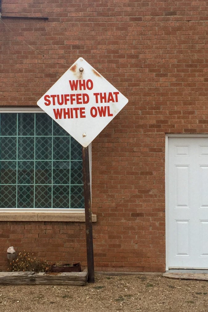 "Who stuffed that white owl."