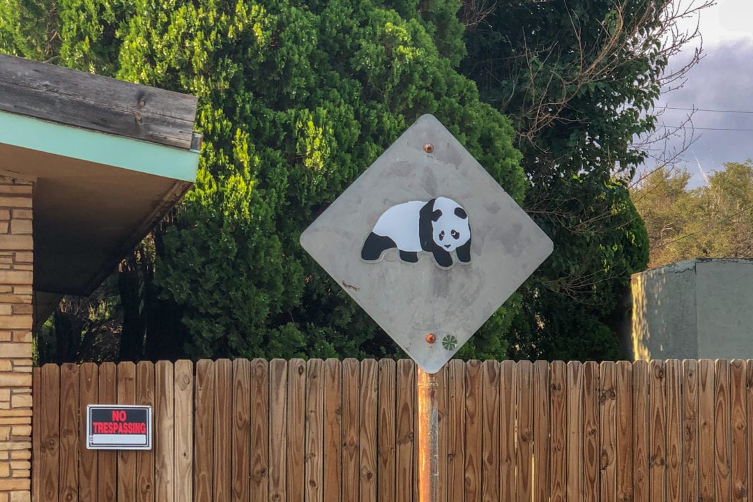 A panda graphic.