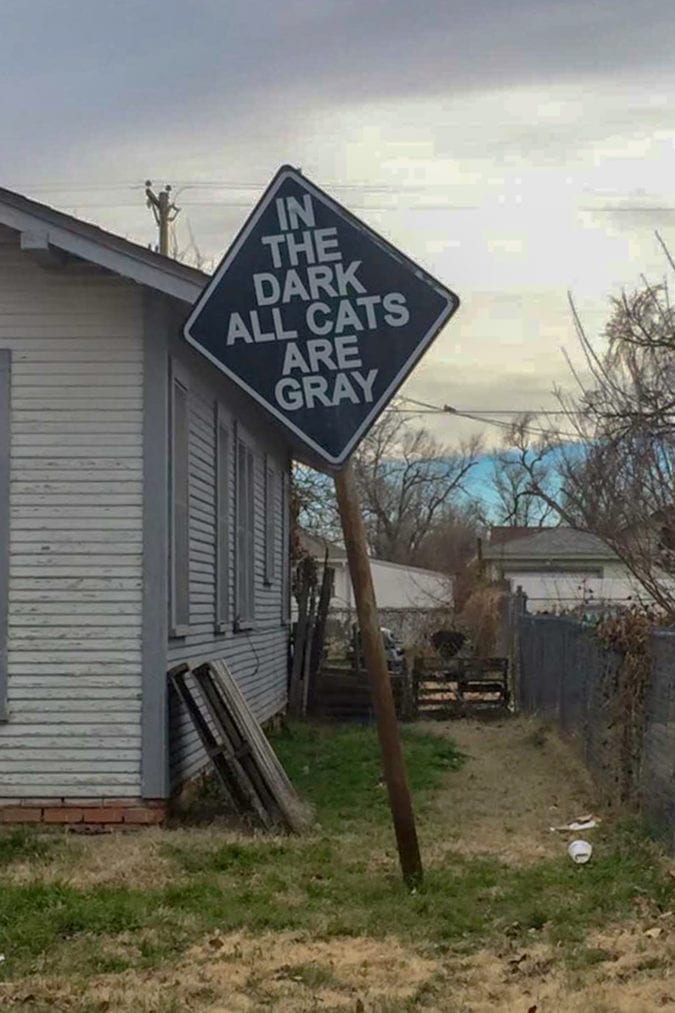 "In the dark all cats are gray."