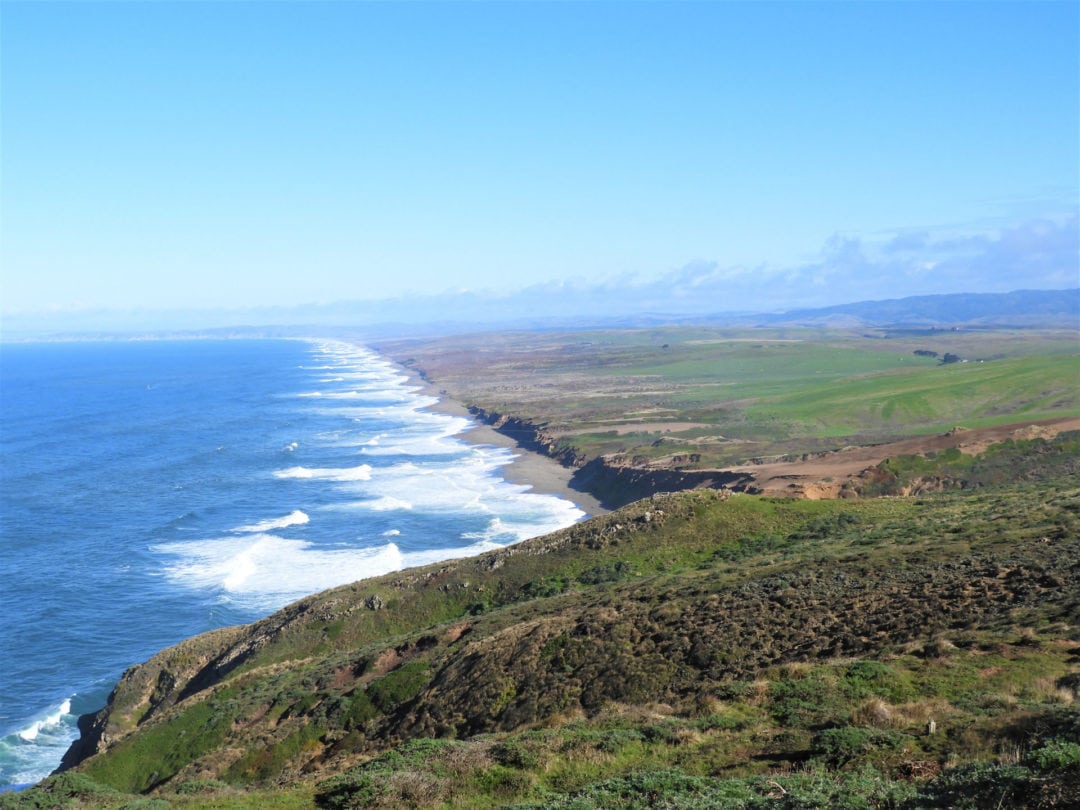 A view of Point Reyes National Seashore's coastline with the Pacific Ocean to the west.