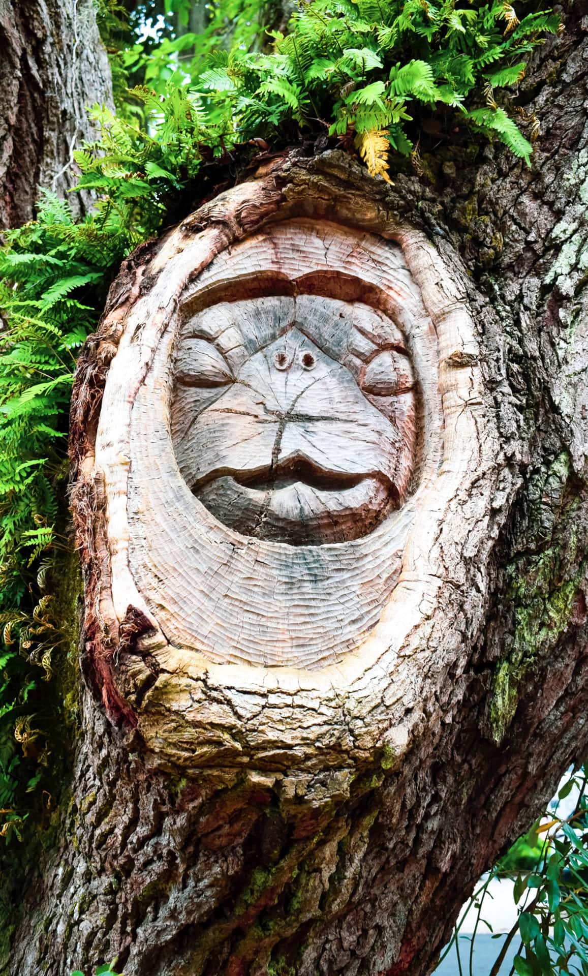 Intricately Carved Tree Spirits Bring A Sense Of Wonder To St Simons   St Simons Island Tree Spirits 04 Scaled 