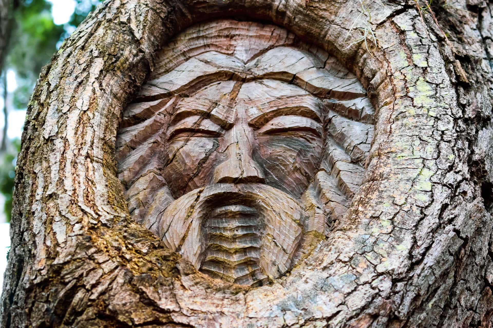 Intricately Carved Tree Spirits Bring A Sense Of Wonder To St Simons   St Simons Island Tree Spirits 3 