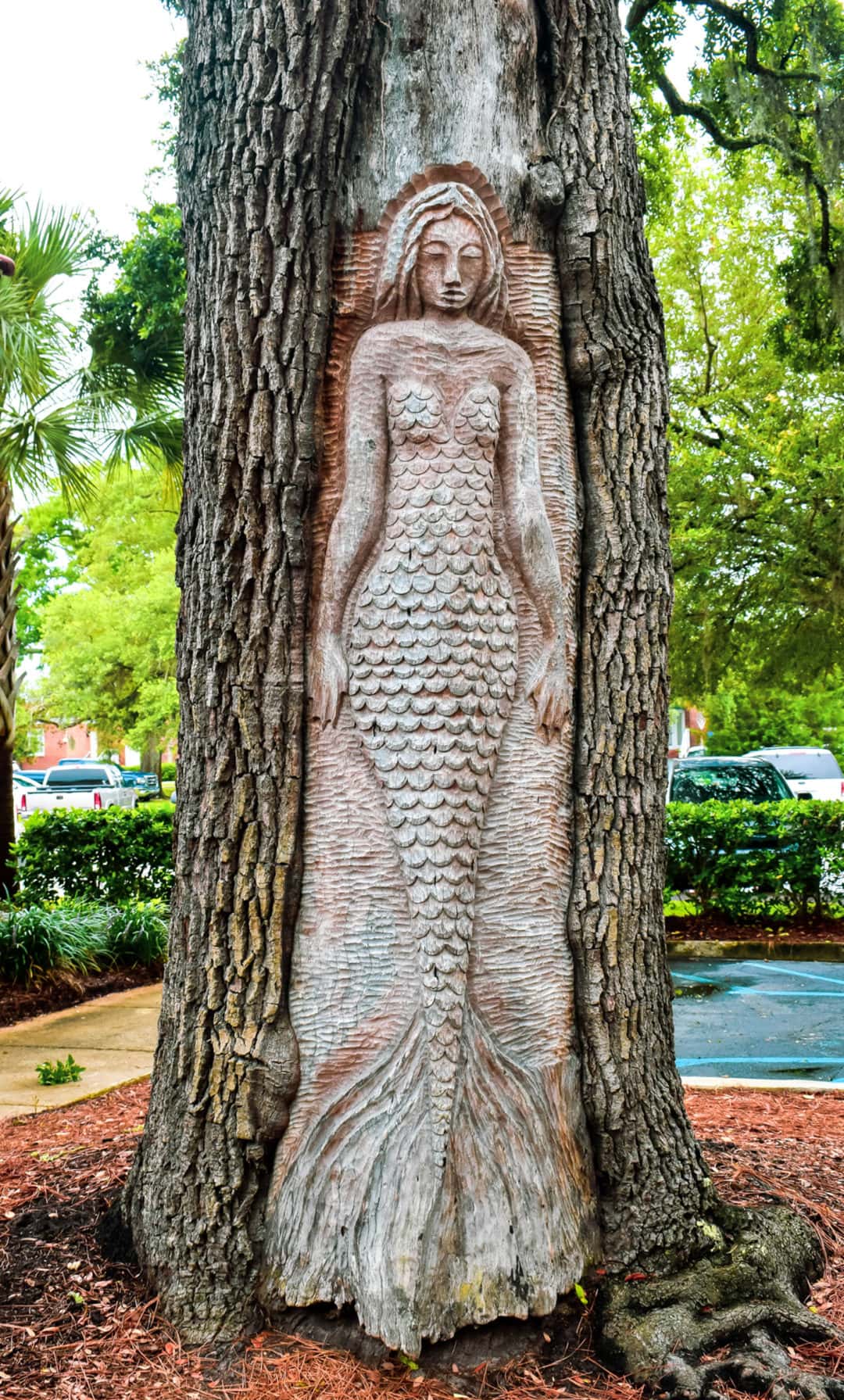 An mermaid carved into the side of a tree