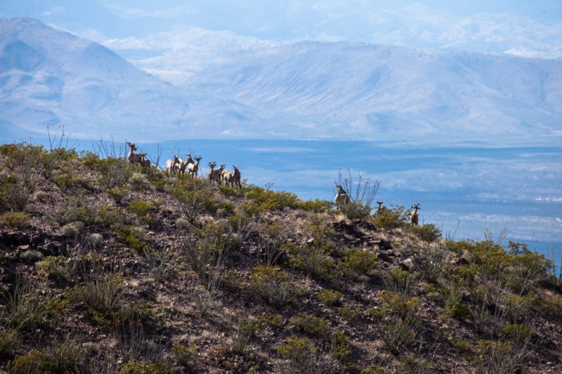 Hot springs, billionaires, and a strange name New Mexico's Truth or