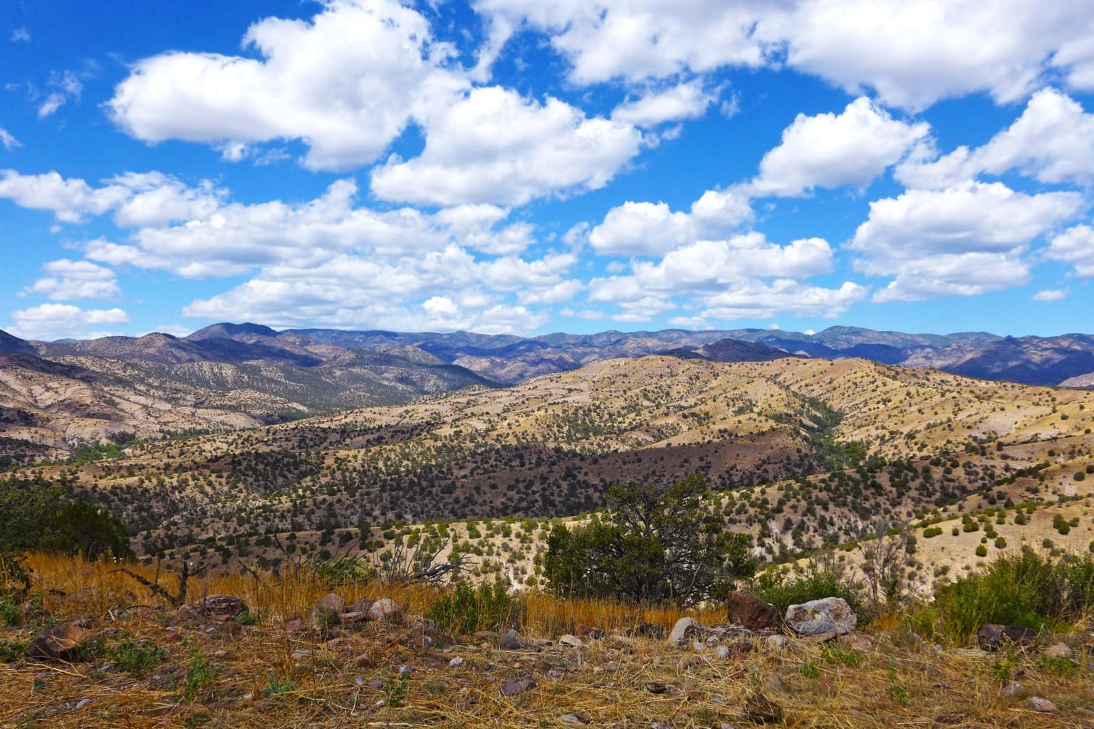 Hot springs, billionaires, and a strange name New Mexico's Truth or Consequences is a town of