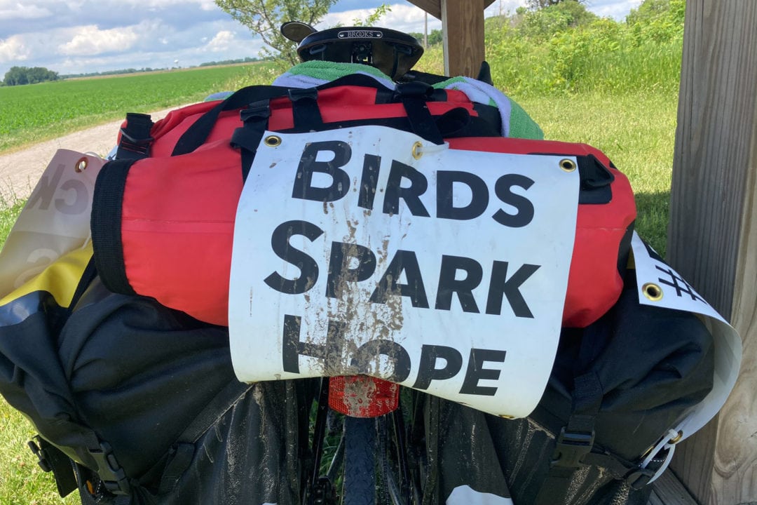 Edwards' "birds spark hope" sign.