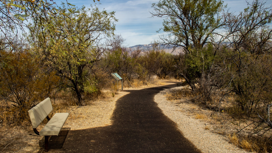 Paved hiking trail in Saguaro National Park 