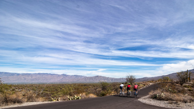 A group of cyclists on Cactus Forest Drive in Saguaro National Park