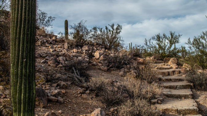 Stone steps leading to Signal Peak in Saguaro National Park