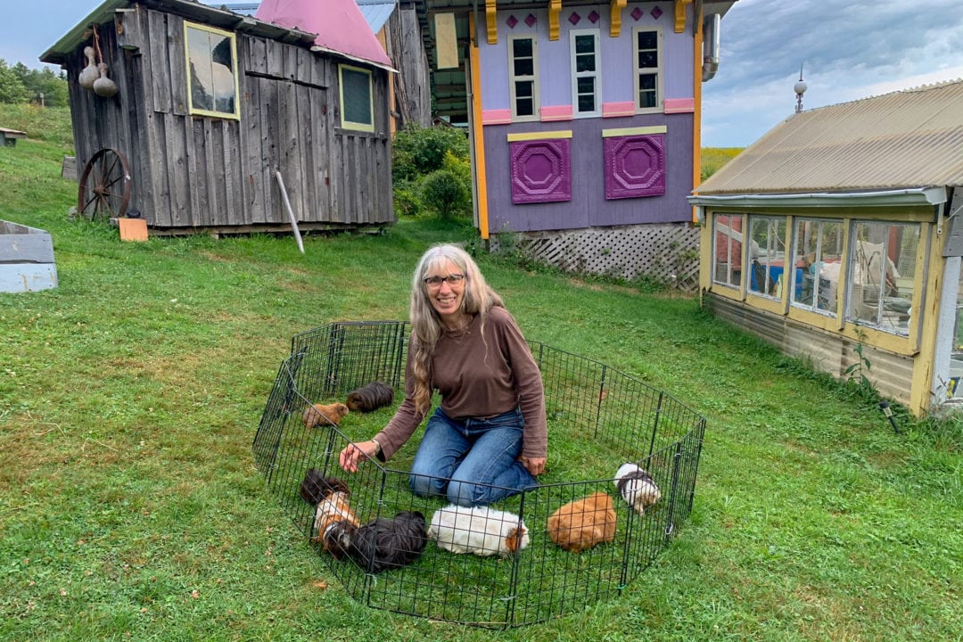Karen Thurnheer and her guinea pigs.