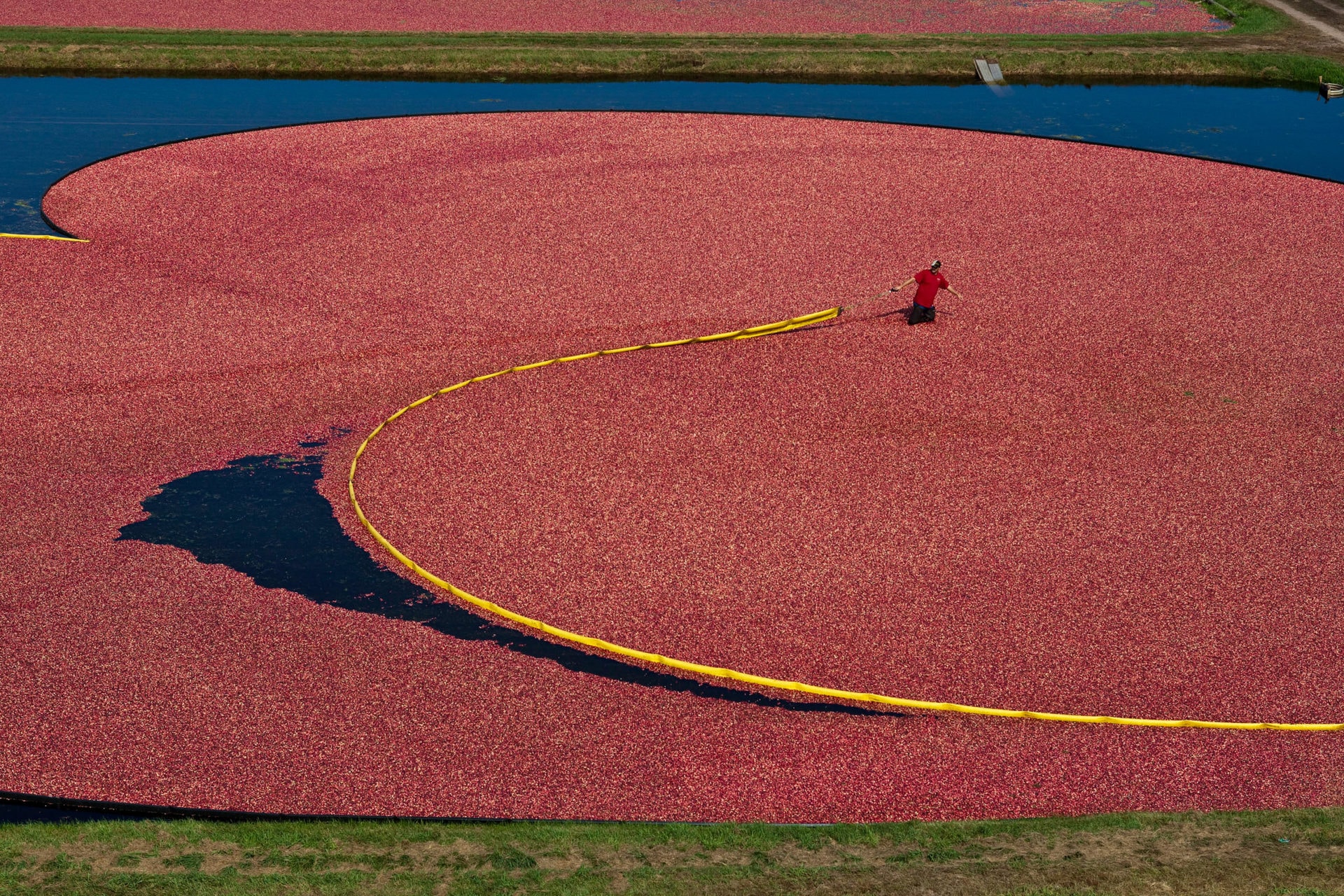 All aboard the Berry Bus: A trip down Wisconsin's Cranberry