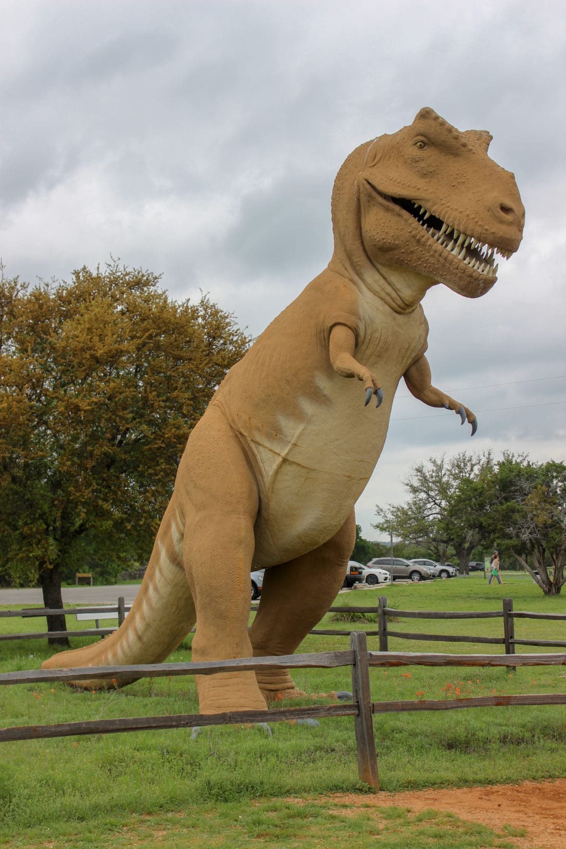 Walking in real dinosaur footprints at Texas' Dinosaur Valley State ...