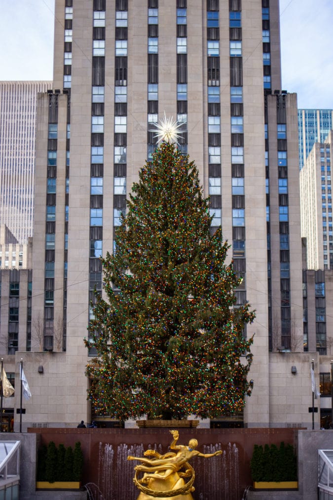 a large christmas tree stands outside of rockefeller center
